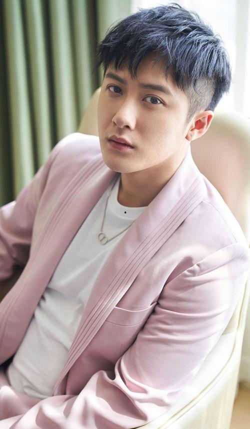 娱乐圈爆料君黄景瑜,娱乐圈爆料君的星光璀璨之路  第1张